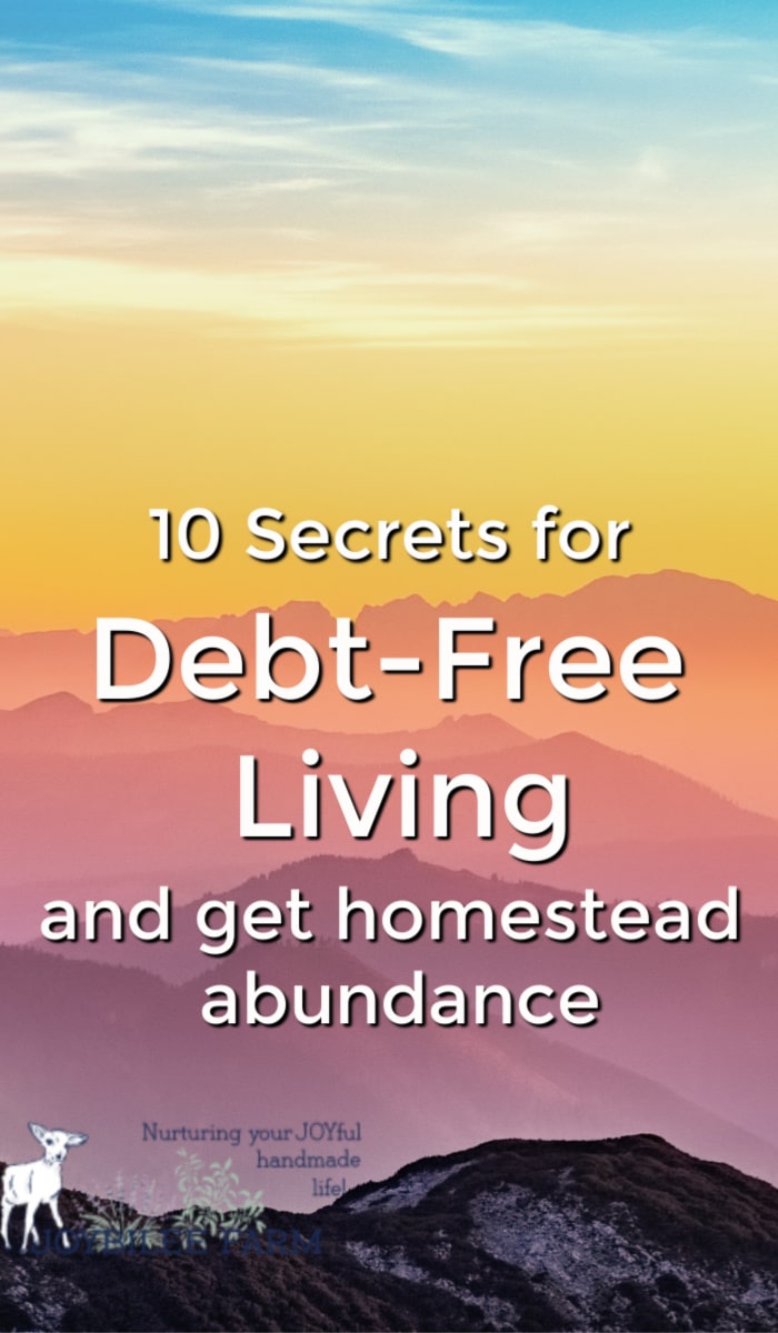 Debt free living is a lifestyle is full of homestead abundance. 