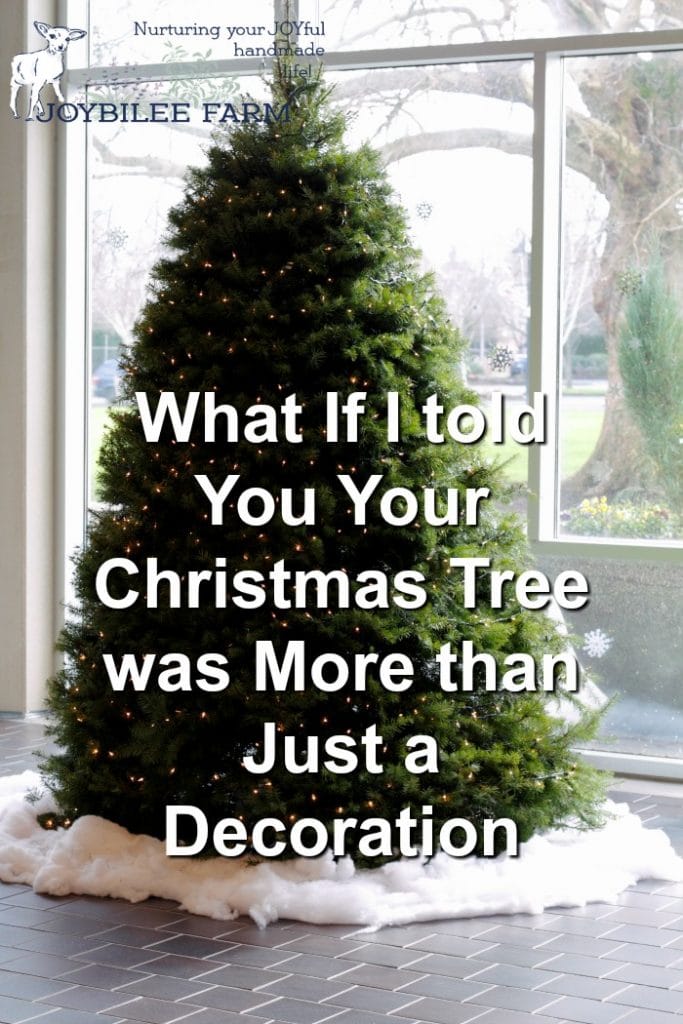 Christmas Tree scent is healing