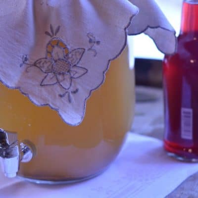 Let Second Fermentation Kombucha Satisfy Your Thirst and Replace Your Daily Soda