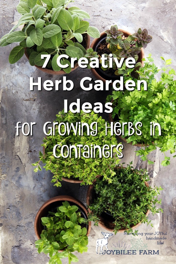 Herbs in Clay pots