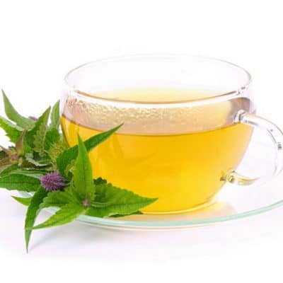 Agastache for Herbal Remedies and Culinary Herbs and Use Its Licorice Flavor