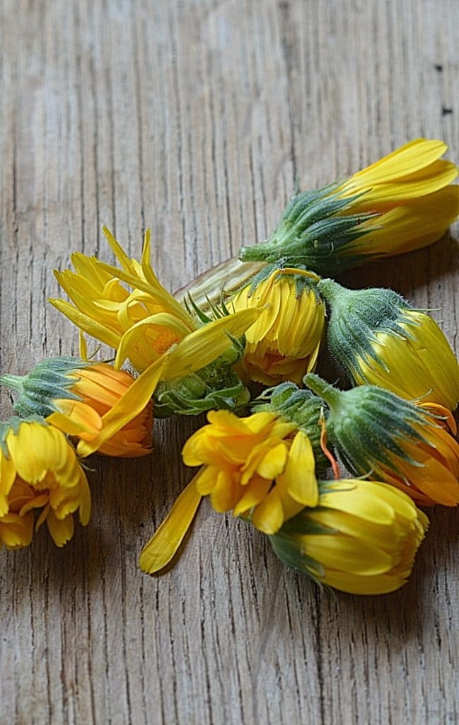 calendula petals on a wooden table