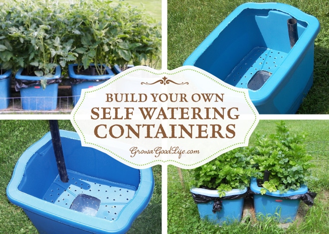 Self watering herb garden
