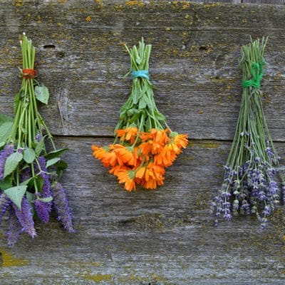20 Ways to Grow Herbs
