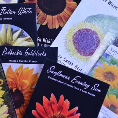 How to Save Money Buying Vegetable Seeds for Future Garden Abundance