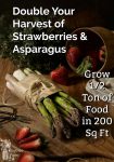 A bunch of asparagus and some strawberries on a wooden cutting board