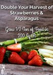 Strawberries, green and white asparagus on a wooden table