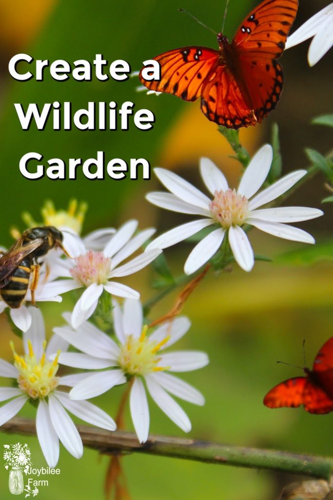 wildlife garden