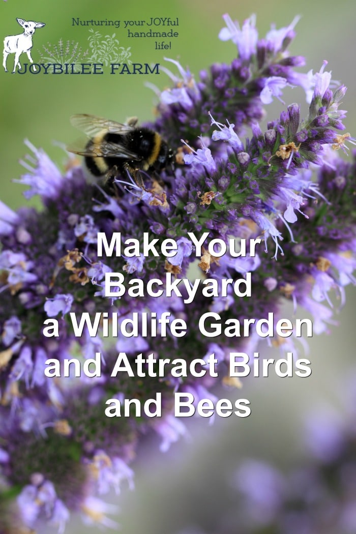 wildlife garden