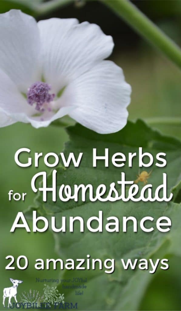 grow herbs