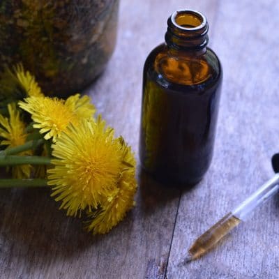 Dandelion Burdock Bitters Recipe for Better Health and Tastier Cocktails