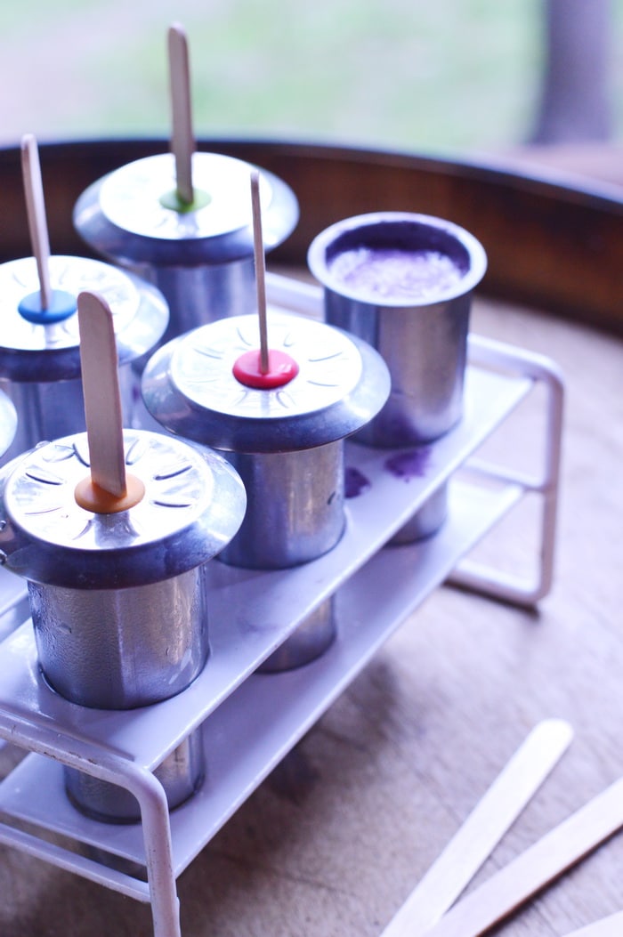 blueberry popsicles in the mold