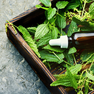 Stinging Nettle Remedies for Hayfever and Inflammation