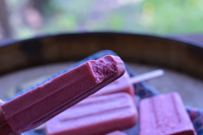 rhubarb ice pops