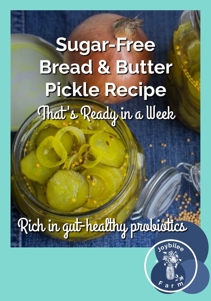 Jar of pickles and a fresh onion