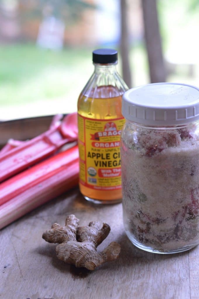 Apple cider vinegar, fresh ginger and rhubarb by a glass jar of rhubarb shrub