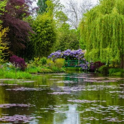 13 Benefits of Visiting a Botanical Garden Even If You ARE a Gardener
