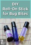 Roll-On Stick for Bug Bites