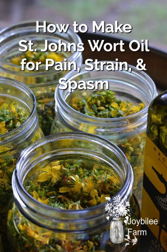 jars of St Johns Work flowers infusing in oil