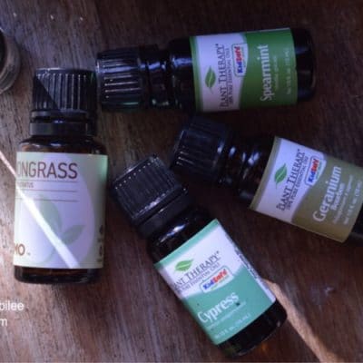 DIY Natural Tick Repellent that’s Safer than Permethrin