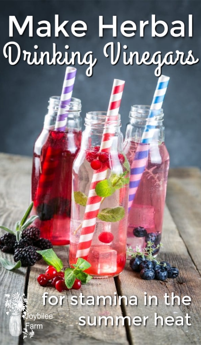 drinking vinegar in glass bottles with colorful straws