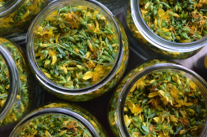 St Johns Wort