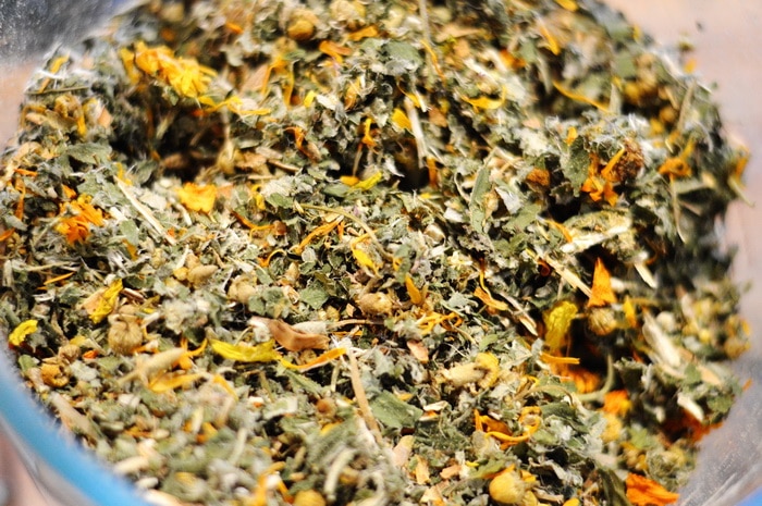 catnip hebal tea