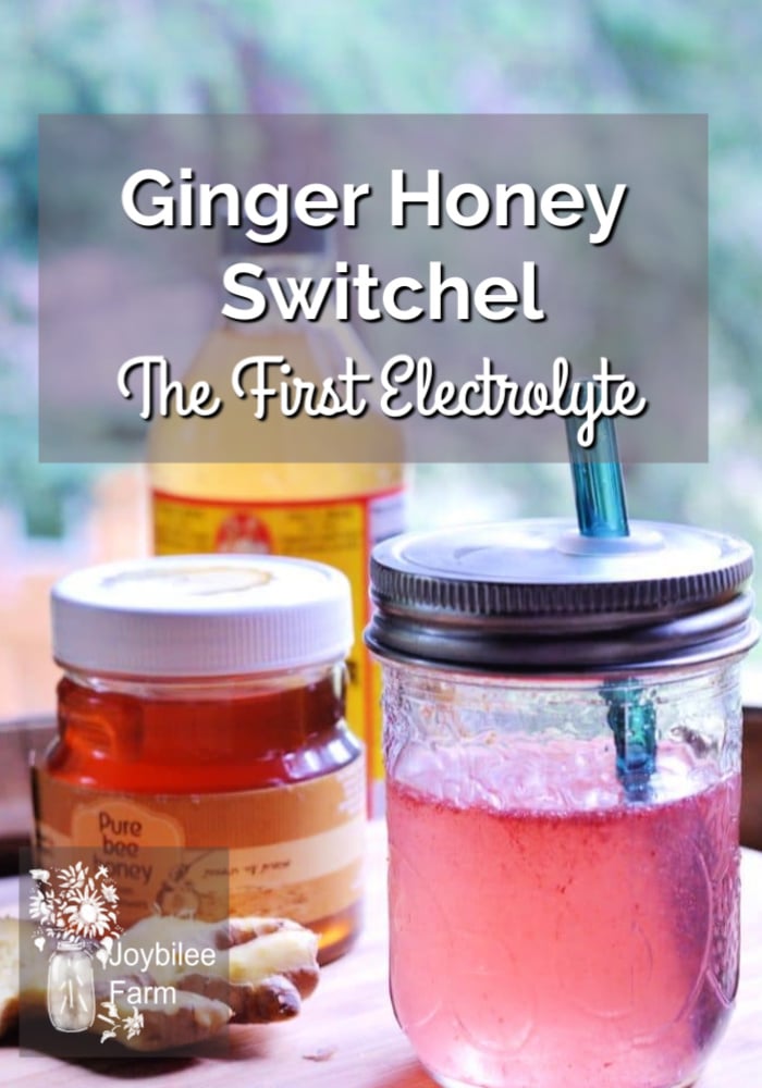 jar of honey, cider vinegar and drink with a straw and the text overlay Ginger Honey Switchel