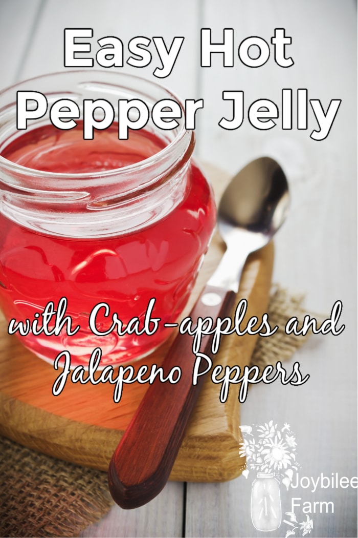 clear red jelly in a glass jar on a wooden board.