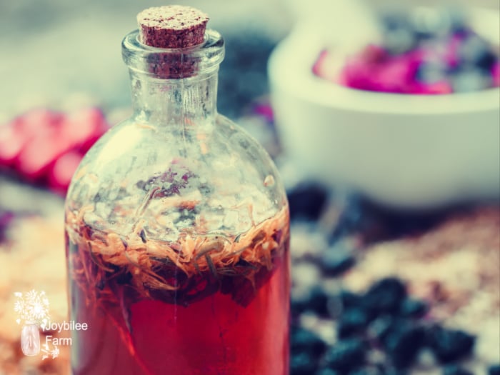 antiviral herbs tincture