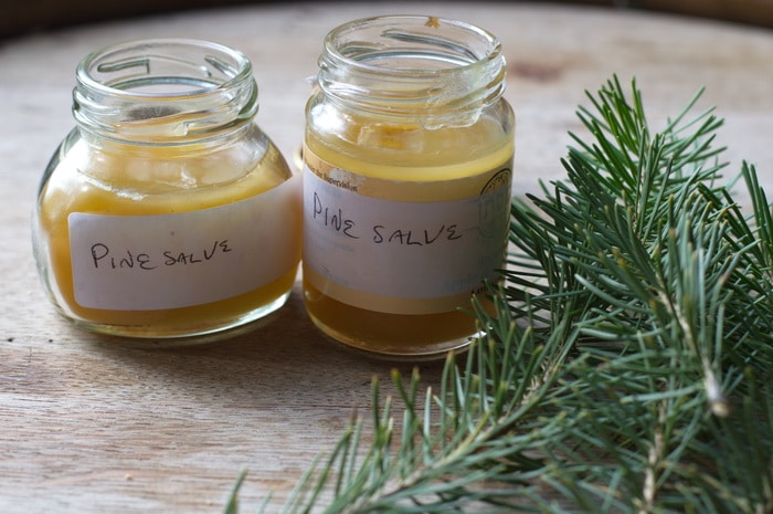 pine salveyuuuuuuuuuuuu