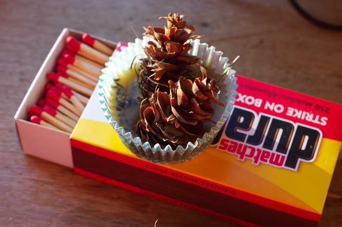 pinecone fire starter