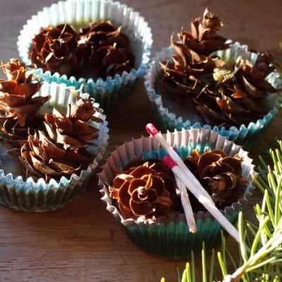Pine Cone Fire Starters for Easier Wood Fires on Cold Mornings