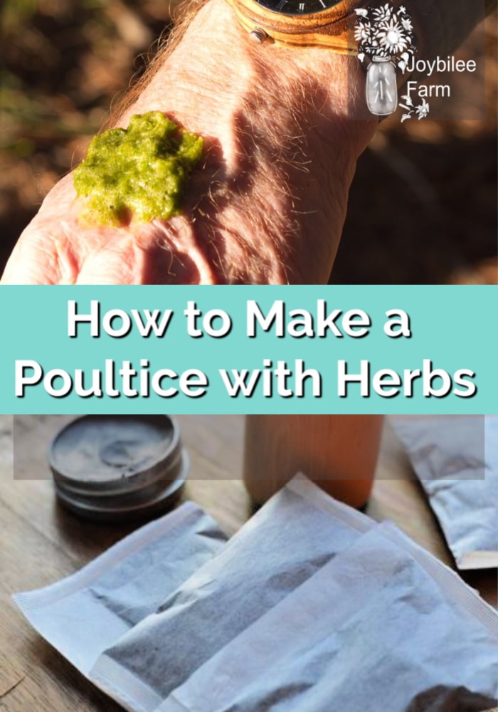 how to make a poultice with herbs