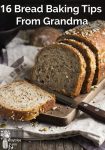 Fresh baked whole wheat bread