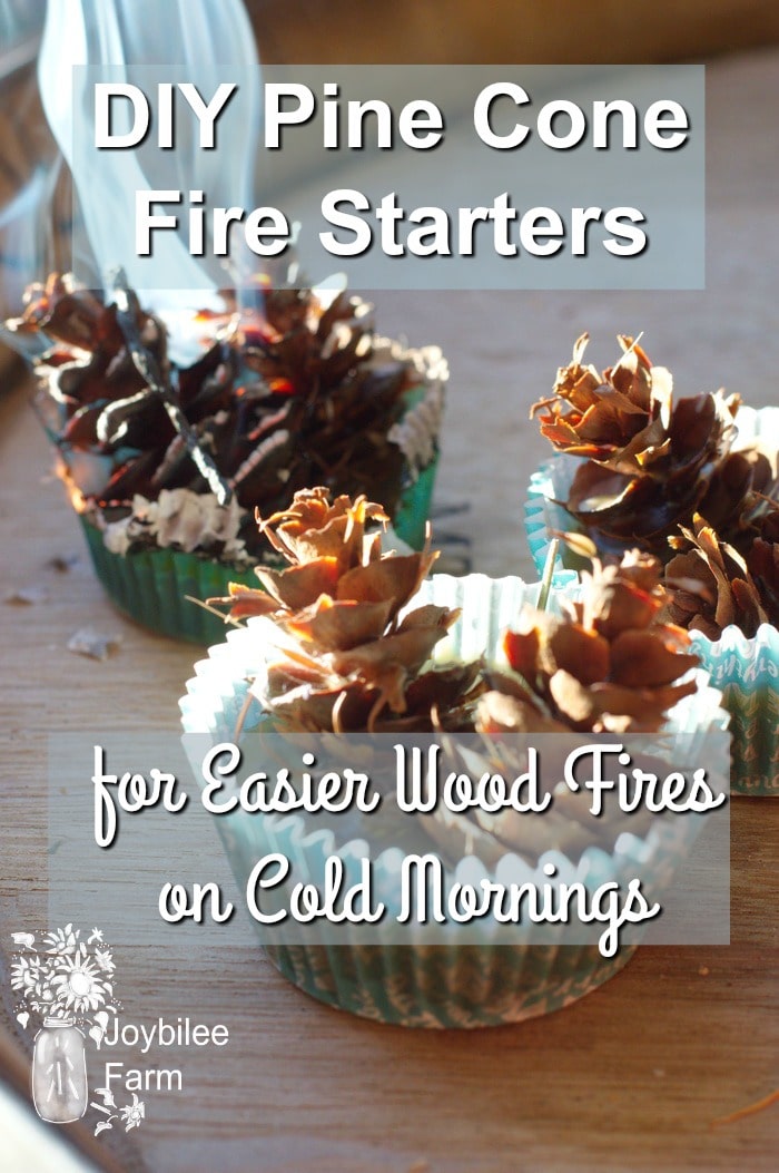 DIY Pine Cone Fire Starters