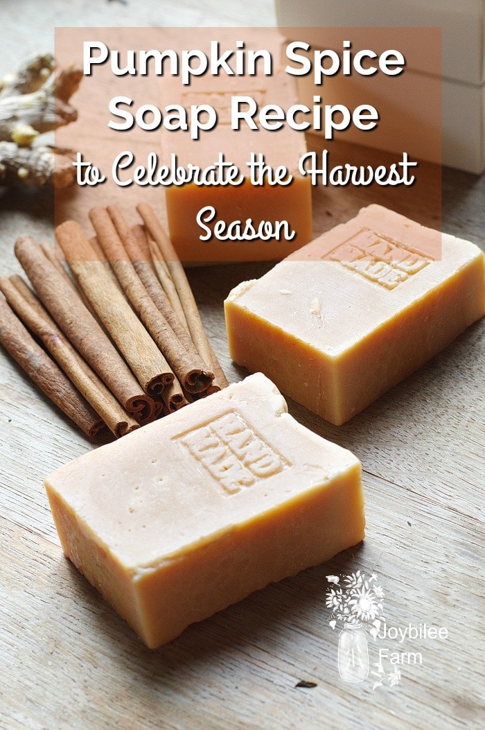 Pumpkin spice soap bar