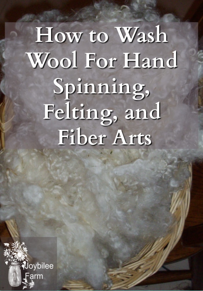a basket full of washed and dried white wool fleece