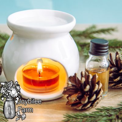 DIY Aromatherapy Wax Tarts