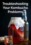 A glass jar with Kombucha and a scoby inside, a glass filled with Kombucha