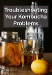 A glass bottle, jar and cup with Kombucha sitting by a lemon