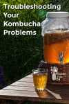 Kombucha in a glass pitcher/dispenser on a picnic table