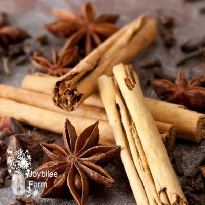 7 Herbs for Longevity that Increase Stamina and Reduce Stress