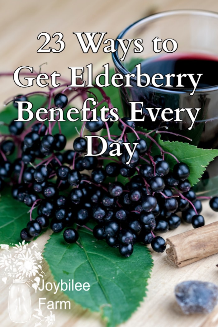 elderberry juice in a glass with a cluster of elderberries and a leaf.