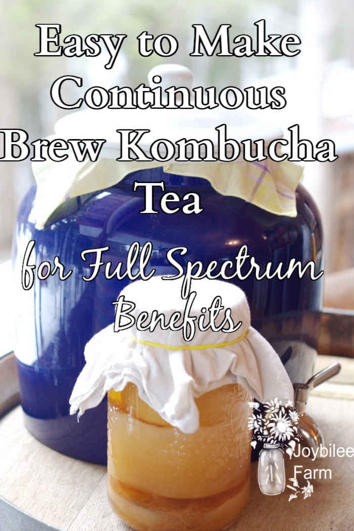 kombucha brewing in a jar and in a crock