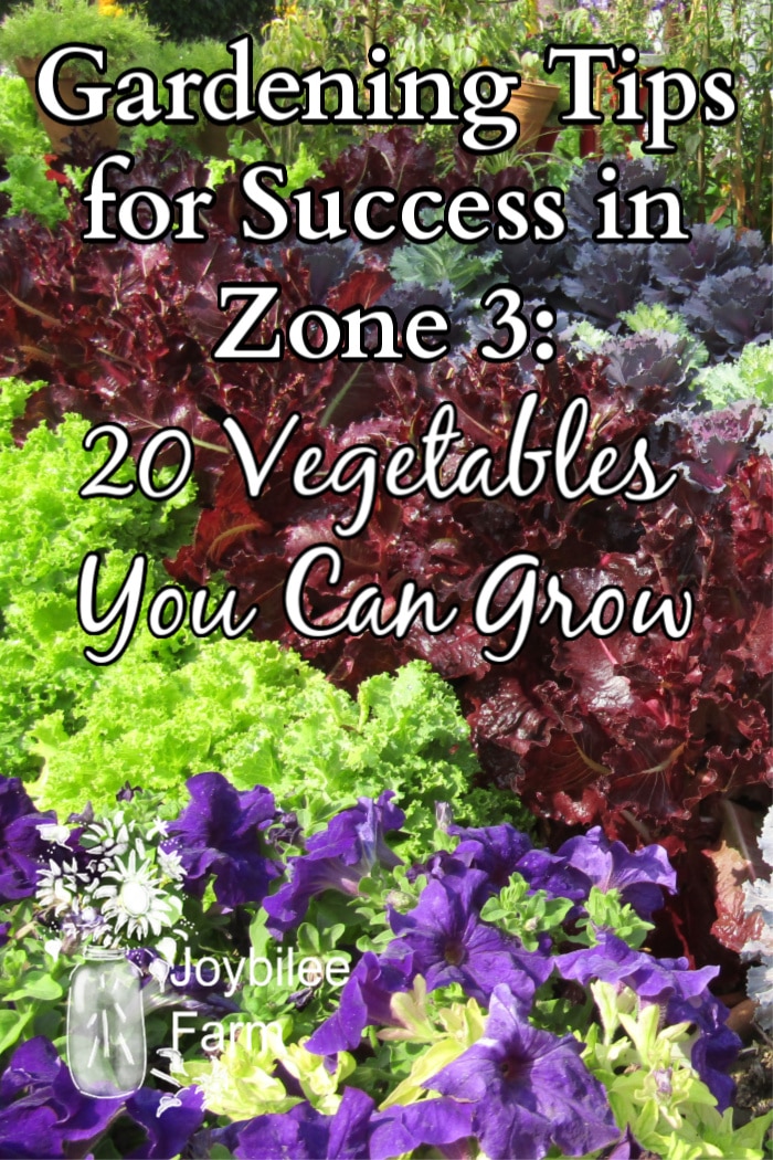 Colorful vegetables growing in a garden