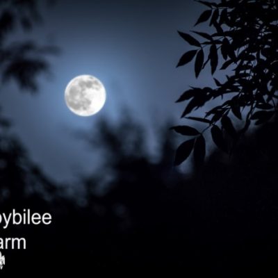 10 Gardening Secrets that Old Timers Know: Gardening by the Moon