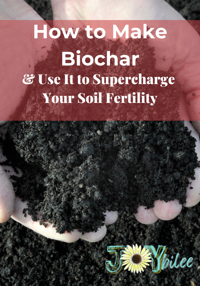 How to Make Biochar and Use It to Supercharge Your Soil Fertility