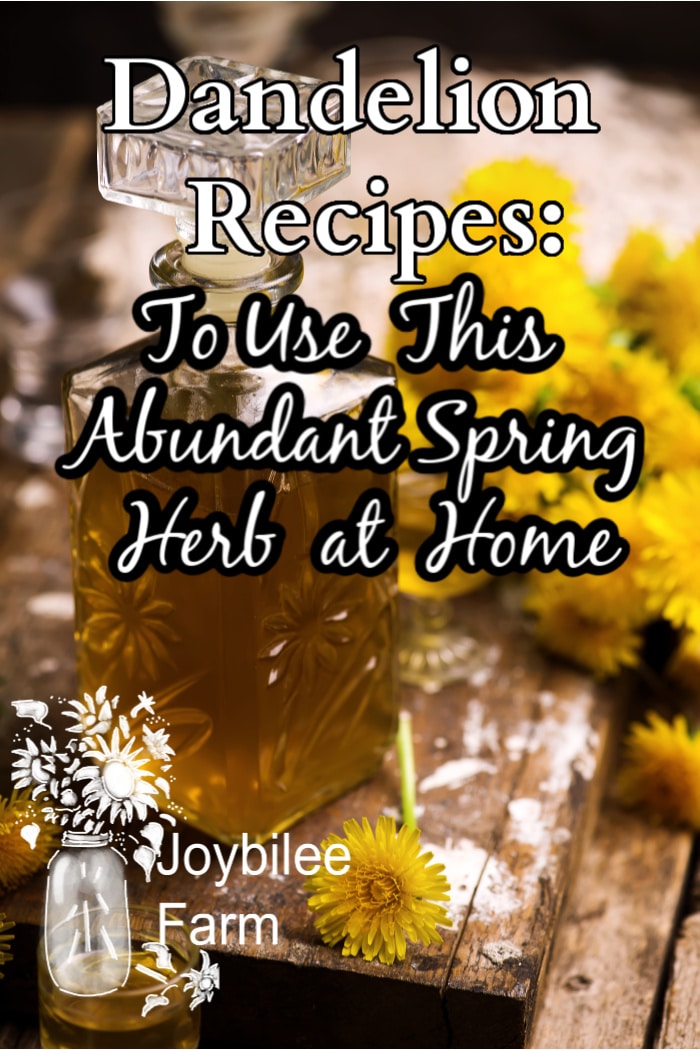dandelion flowers with a bottle of dandelion infusion.