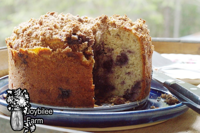 gluten free blueberry coffee cake